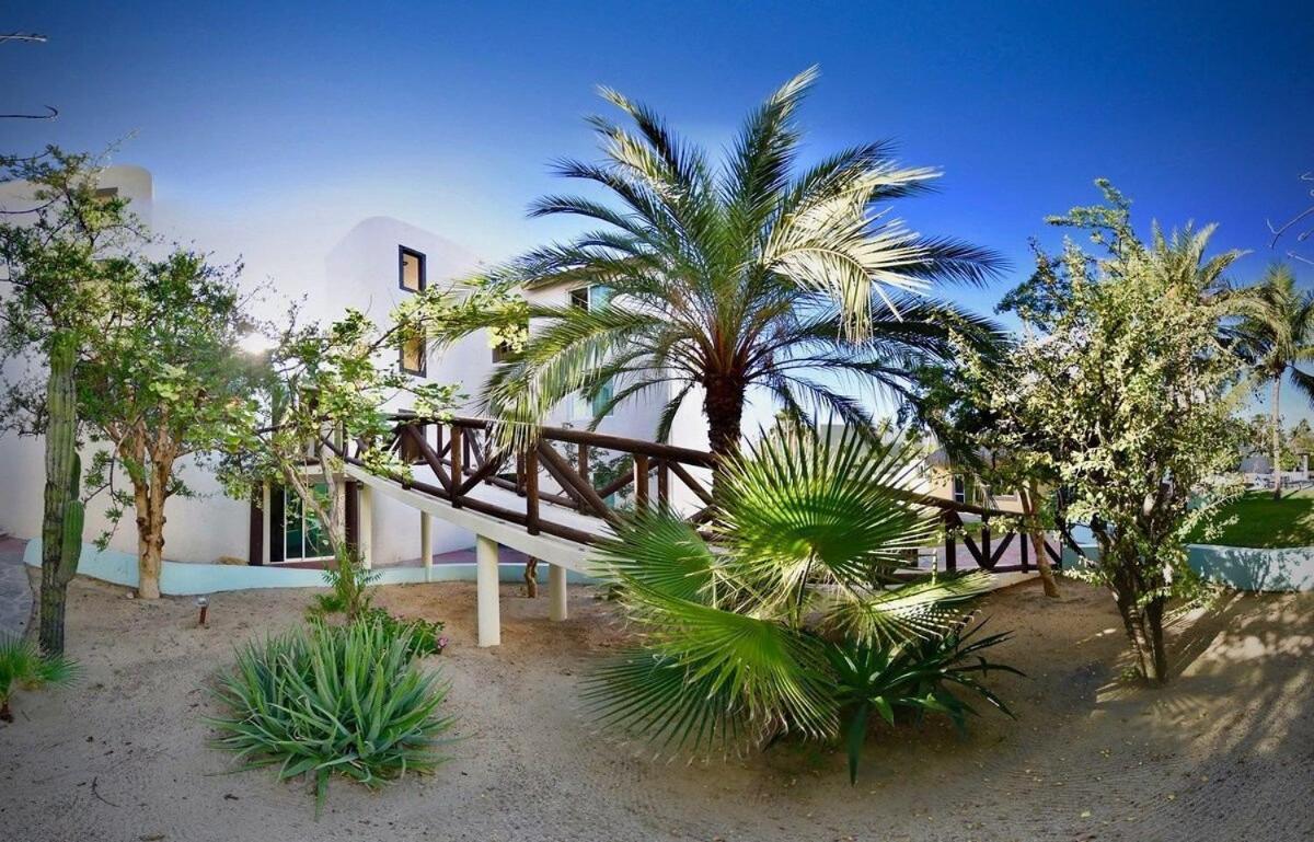 Sm Apartments San José del Cabo 외부 사진